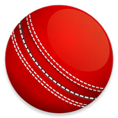 Cricket Now icon