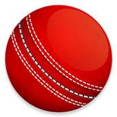 Cricket Now