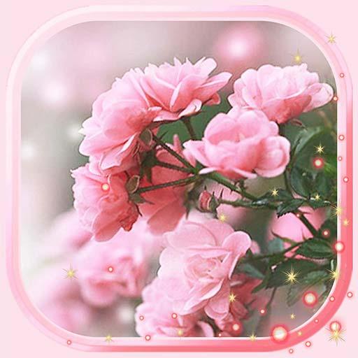 Spring Rose Best Live Wallpaper icon