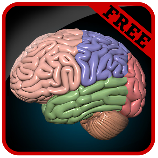Brain Game icon