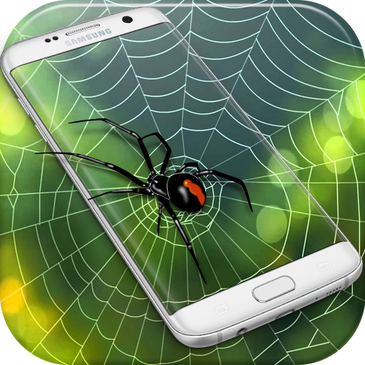 Spider Web Out icon