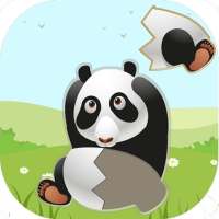 Free Puzzle Game For Kids