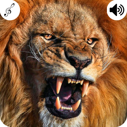Lion Sound icon