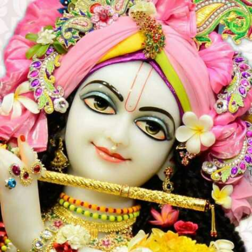 Shri Hari Darshan - Mayapur icon