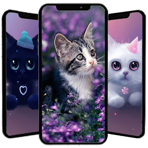 Cute Cat Wallpaper icon