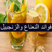 فوائد النعناع والزنجبيل أيقونة
