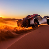 Rally Jigsaw Puzzles icon