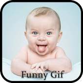 Funny Gif