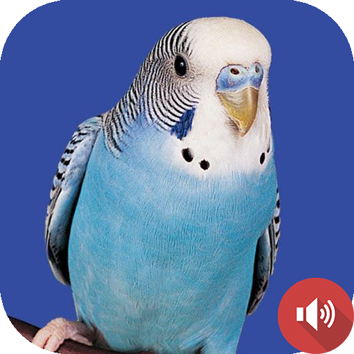 Parakeet Sounds icon
