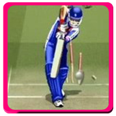 n͙e͙w͙ Best Real Cricket World 2017 Tips icon