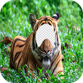 Tiger Lion Face Changer icon