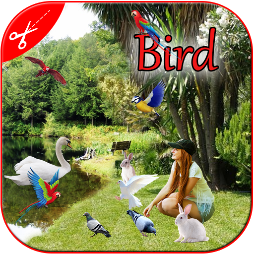 Bird Photo Frame : Cut Paste Editor icon