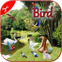 Bird Photo Frame : Cut Paste Editor on 9Apps