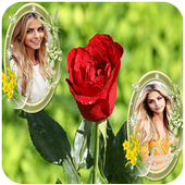 Rose Dual Photo Frame icon