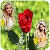 Rose Dual Photo Frame on 9Apps