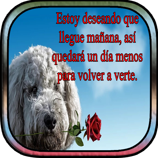 Amor a Distancia icon