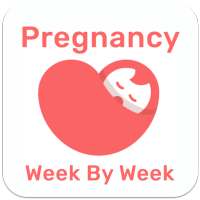 Pregnancy Week By Week Guide