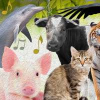 50 Canciones de la Granja y del Zoo. Música Gratis on 9Apps