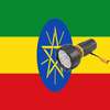 Lantern flash screen Ethiopia on 9Apps