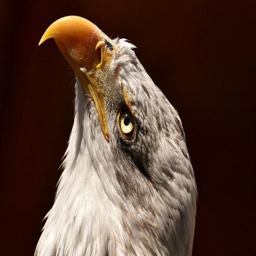 نسر خلفيات الشاشة  2020 أيقونة