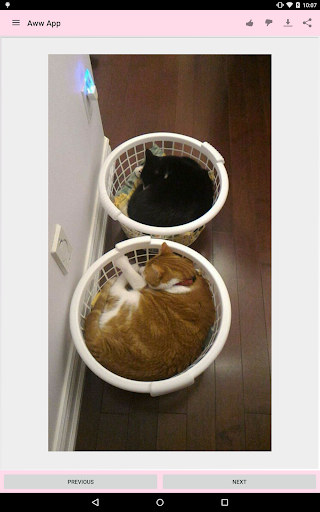 Aww App screenshot 17