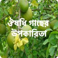 ঔষধি গাছের উপকারিতা - Medicinal Plant & রোগ নিরাময়