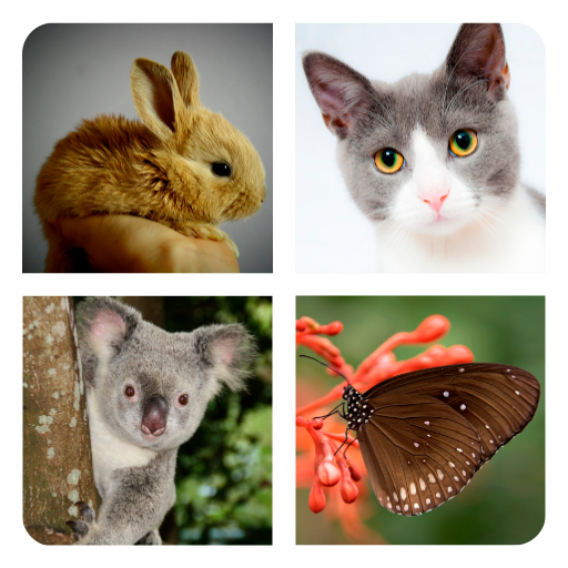 Угадай Животных icon