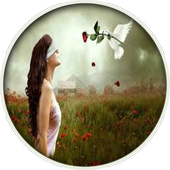 All in One Hindi Shayari icon