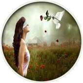 All in One Hindi Shayari on 9Apps