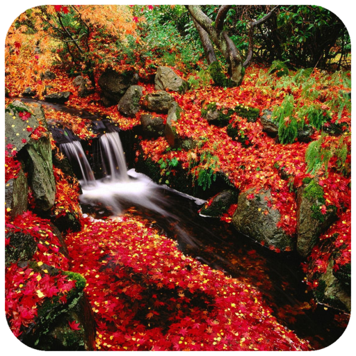 Autumn Wallpaper icon