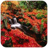 Autumn Wallpaper on 9Apps