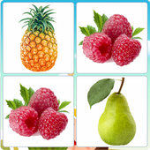 Fruit Memory icon