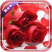 Red Rose Image And Wallpaper icon