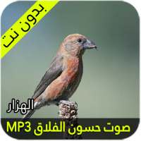 صوت حسون الفلاق - الهزار on 9Apps