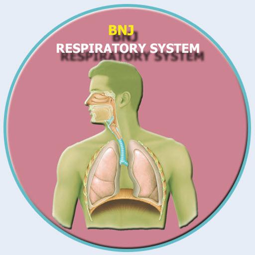 Human Respiratory System icon