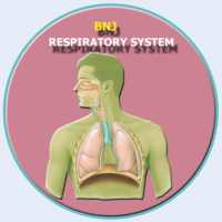 Human Respiratory System on 9Apps