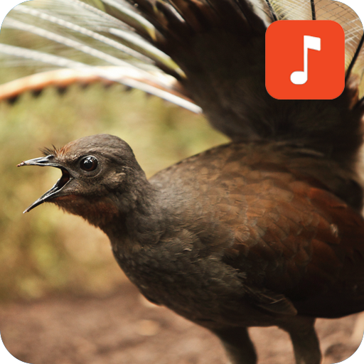 Lyrebird Sounds icon