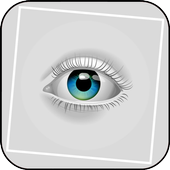 Fact About Eyes icon