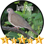 Juriti Pupu Canto أيقونة