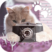 الحيوانات الأليفة إطارات الصور - حيوان محرر الصور أيقونة