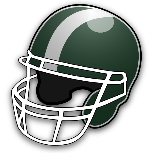 New York Football News icon