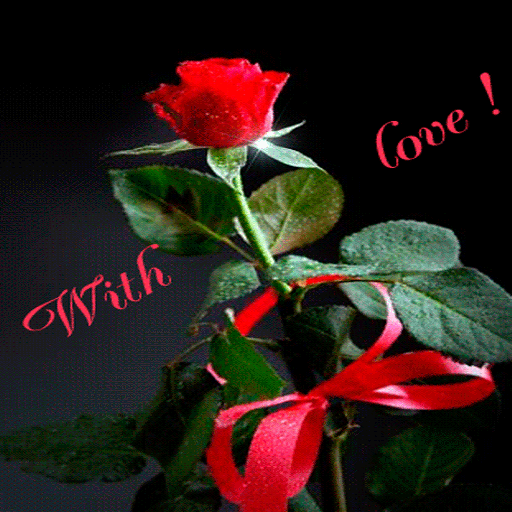 Valentine Rose Shine LWP أيقونة