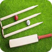 Cricket Bat Wallpaper 4K Latest