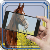 Cunning Touch Joke icon