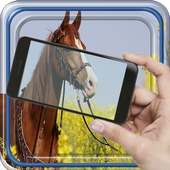 Cunning Touch Joke on 9Apps