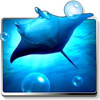 Ocean HD Free