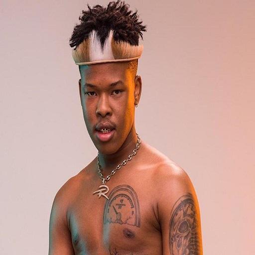 NASTY C LATEST SONGS icon