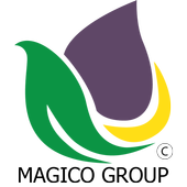 Magico Group icon