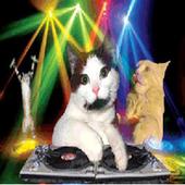 Dj Disco Cat Video Music Clock icon