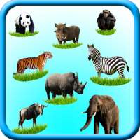 Wild Animals Sounds